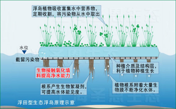 浮田型浮動濕地采用浮力載體與濕地填料一體化技術