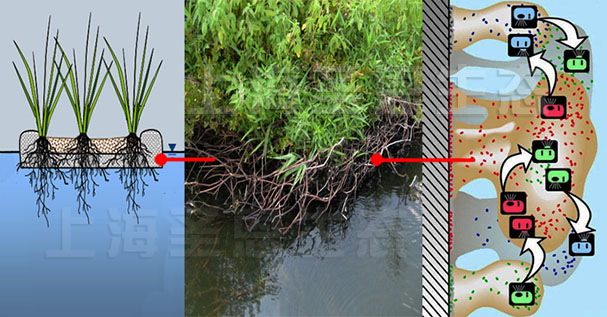 浮田型漂浮濕地-復合纖維漂浮濕地凈水原理圖