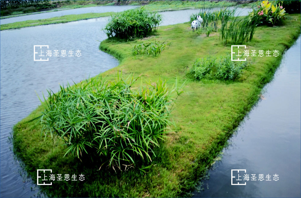 浮田型浮動濕地可以做成不同景觀造型