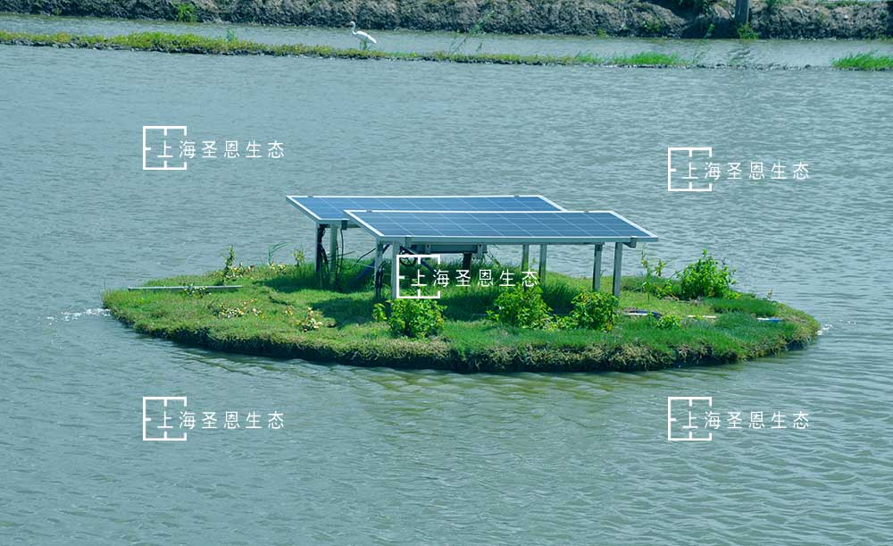 浮田型漂浮濕地與太陽能微泡曝氣機組成太陽能微泡曝氣漂浮凈水平臺